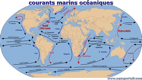 Carte Des Courants Marins Dans Le Monde Blogarredamento Net