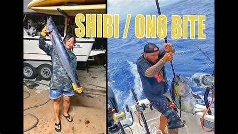 Hawaii Ono Wahoo Fishing And Shibi Yellowfin Tuna Bonus Youtube