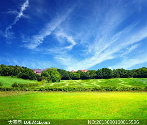 蓝天白云霞的绿色草原摄影图片大图网图片素材