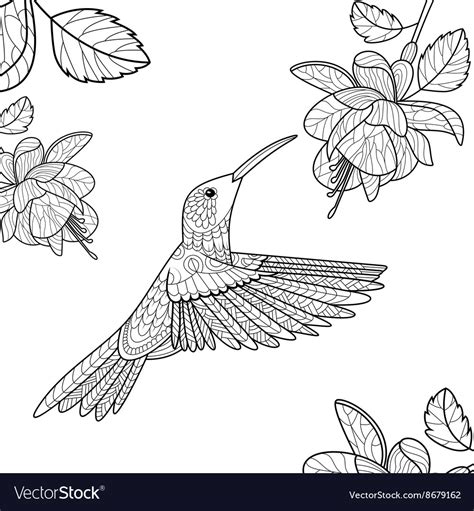 March 14, 2021november 8, 2020 by coloring. Hummingbird coloring book for adults Royalty Free Vector