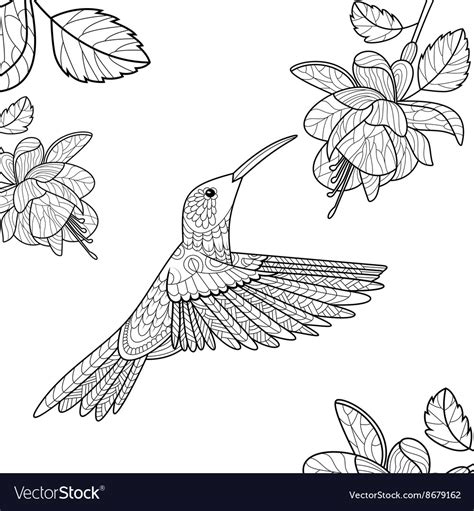 Download Hummingbird coloring book for adults Royalty Free Vector