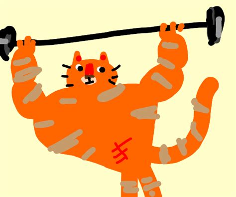 Cat With Muscles Drawception
