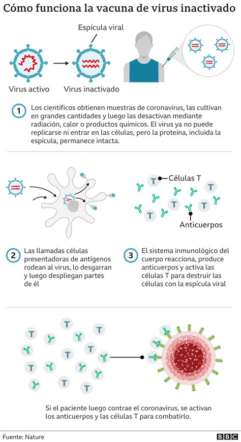 Coronavirus Las Dudas Sobre La Eficacia De Las Vacunas Chinas Y Cómo