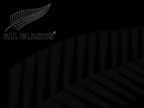 75 All Black Backgrounds Wallpapersafari