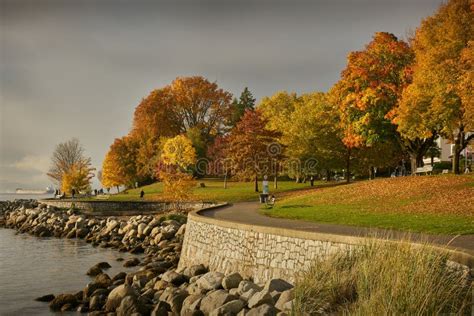 Autumn Run Stanley Park Seawall Vancouver Stock Image Image Of