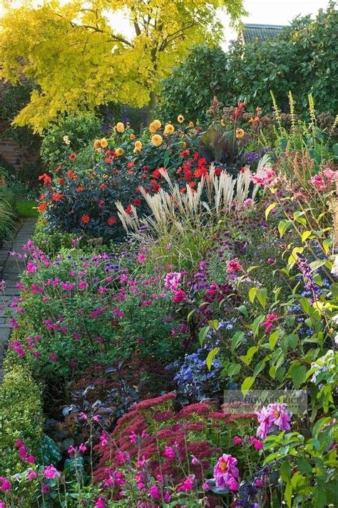 The Best Perennial Plants For Cottage Gardens