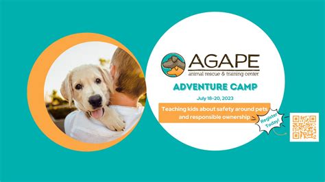Agape Animal Rescue Adopt Volunteer Foster Donate