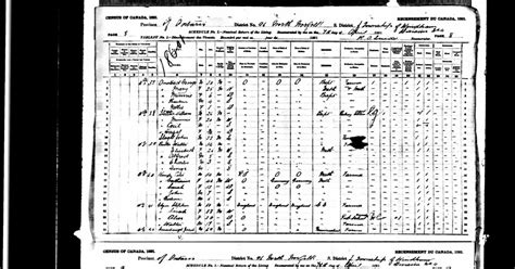 Genea Musings Treasure Chest Thursday Post 224 1891 Census Of