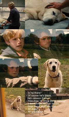 Marley & me is quite flawed, just like other david frankel movies. 37 Best Marley and Me images | Marley, me, Movies, Marley ...