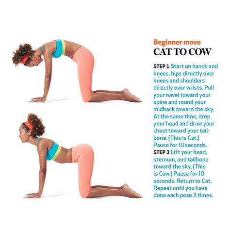 Arch your back by pulling your belly button up toward your. Beginner move: Cat to cow. | Exercise, Chiropractic clinic ...