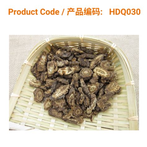 Qiang Huo Radix Notoptergii Notopterygium Root Chinese Herbs
