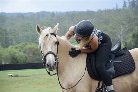 Horse riding holidays in africa, asia, europe, south america, north america, australia and new zealand. The Blond Brumby | Southern Cross Horse Treks Australia ...