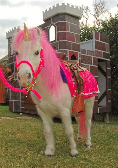 Future Bday For Grace Pony Rides Petting Zoo Pony Party Pony