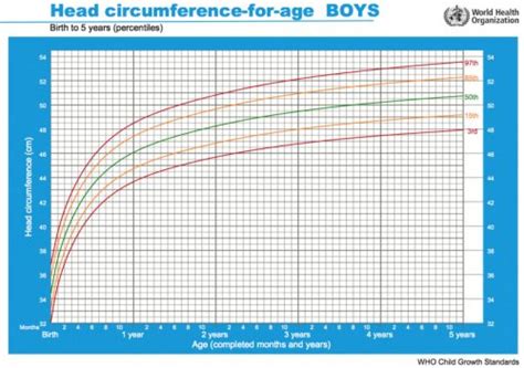 Head Circumference Growth Chart Who Boys Dell Childrens Craniofacial