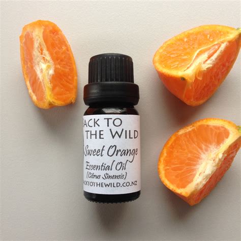 Sweet Orange Essential Oil Back To The Wild
