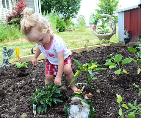 6 Tips For Starting A Childrens Garden Hobby Farms