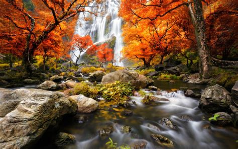 Autumn Forest Waterfalls Trees Red Leaves Wallpaper Nature And Landscape Wallpaper Better