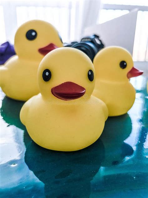 Beautiful Yellow Rubber Bathtub Toy Ducks Swim On A Blue Water
