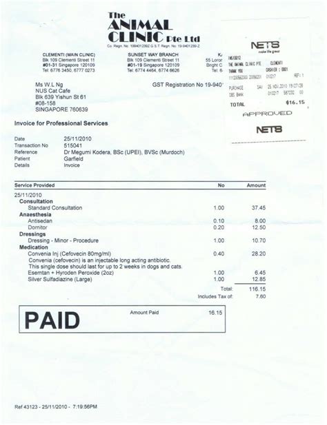 Veterinary Invoice Template And Invoice Veterinary Invoice Template
