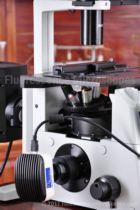 Fluorescence Microscopes Olympus Ix51 Inverted Fluorescence And Phase