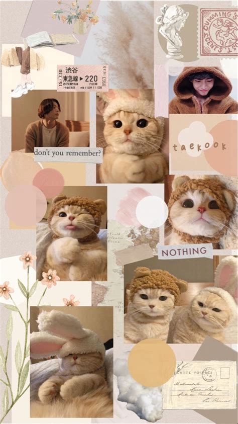 Cats Collage Background