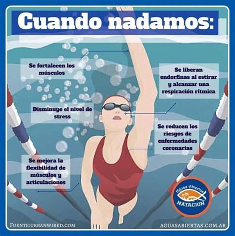 Como Aprender A Nadar Entrenamiento Natacion Ejercicios De Entrenamiento