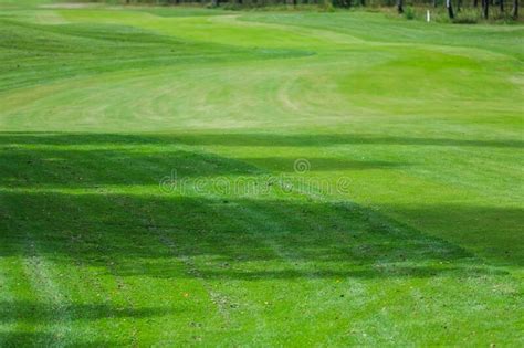 Top 56 Imagen Golf Grass Background Thcshoanghoatham Vn