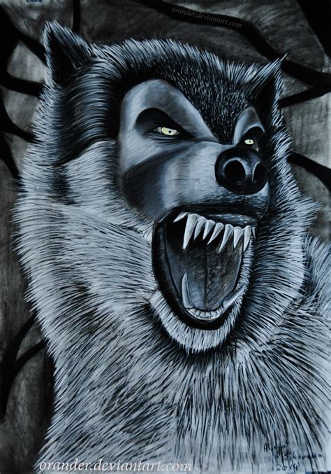 Angry Wolf By Orander On Deviantart