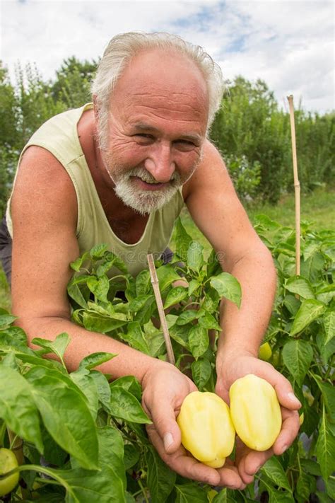 Real Farmer In His Own Home Garden Stock Photo Image Of Greenhouse