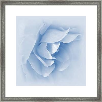 Rose Flower Petals Soft Blue Photograph By Jennie Marie Schell