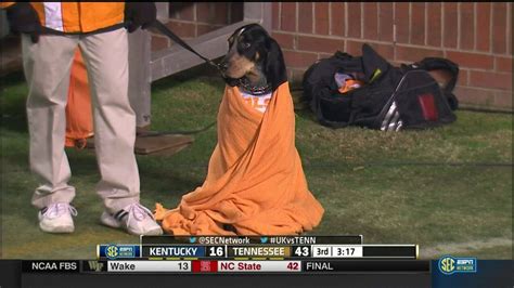 cold  tennessee  means smokey   blanket