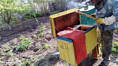 Бурное развитие пчел в Украинском улье,Пчеловодство для начинающих,Мед ...