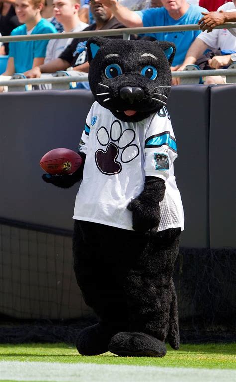The Carolina Panthers Mascot Is Absolutely Purrfect