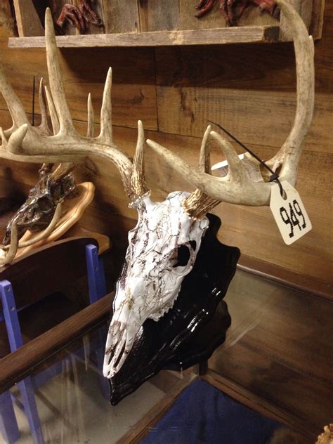 Whitetail Skull Dipped In Mc2 Snow Camo With High Gloss Black Plaque
