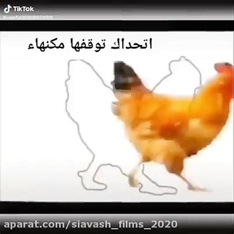 اگه تونستی مرغ رو ببر سرجاش چالش جدید امروزهای همه در برنامه اینستاگرام In 2022 Nail Logo
