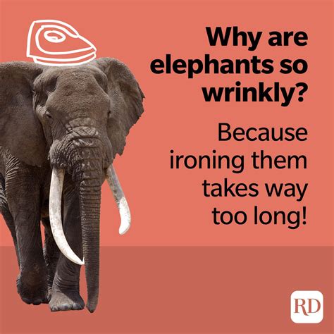 elephant jokes that will make you laugh your trunks off reader s digest