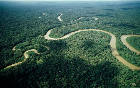 La Amazonía Está Aún Viva Soyrurales