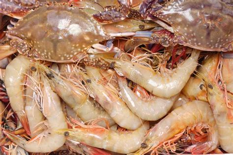 Shrimps And Crabs Stock Photo Image Of Fresh Seafood 6618082