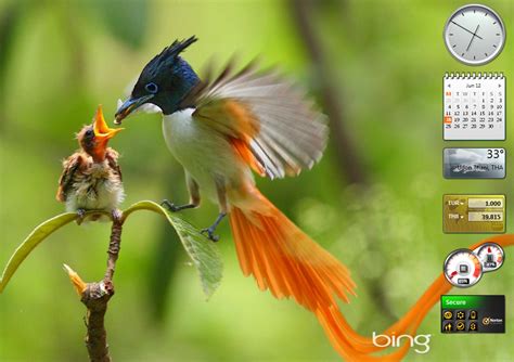 Free Download Bing Releases The Ten Best Images Of 2013 As Wallpaper