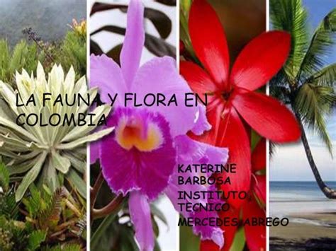 la fauna y flora en colombia