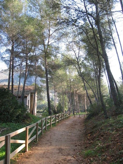 La Comunidad Valenciana Está Llena De Bosques Y Parajes Bonitos