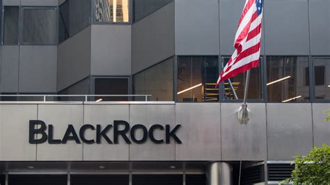 Blackrock Retains 7 Stake In German Firm Suing Netherlands Over Coal