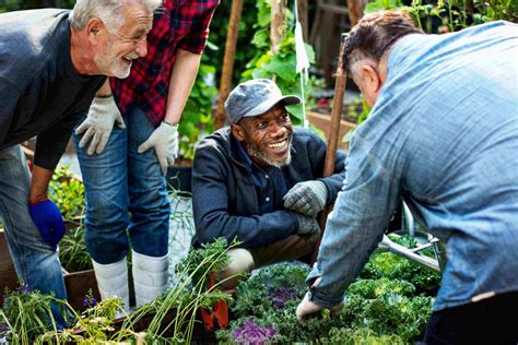 How Gardening Can Make You Feel Part Of A Community Thrive