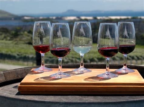 9 Outstanding Oregon Coast Wineries To Try Small Town Washington