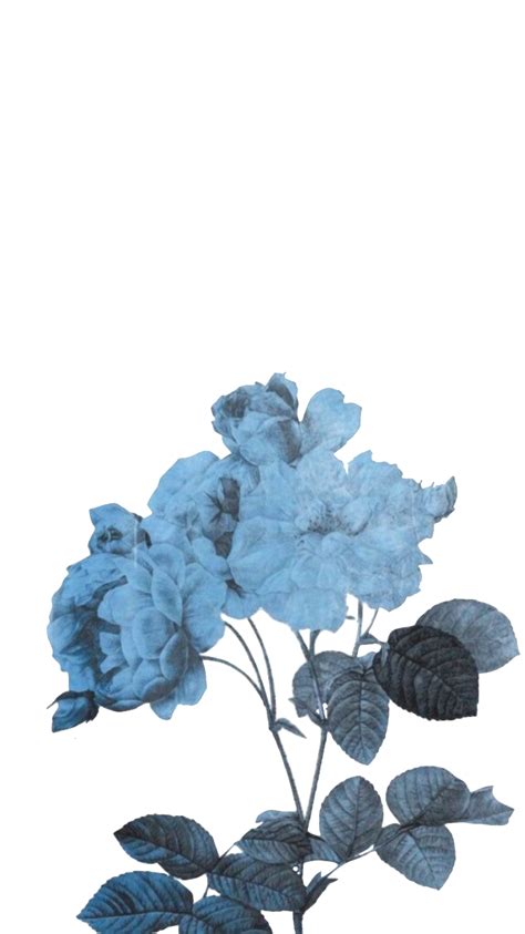 Pastel Aesthetic Wallpapers Blue Flowers Check Out Inspiring Examples