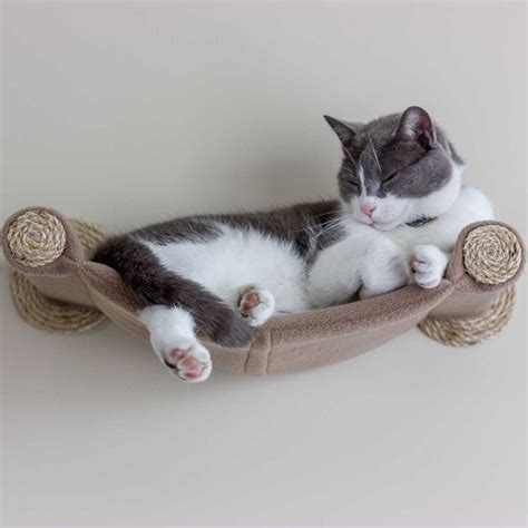 The perch is easy to set up, and the 4 suction cups attach quickly with great grip. Cat Hammock - Wall Mounted Cat Bed - Tan - CatWallShelves ...