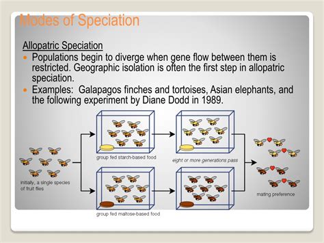 Ppt Speciation Powerpoint Presentation Free Download Id9509847