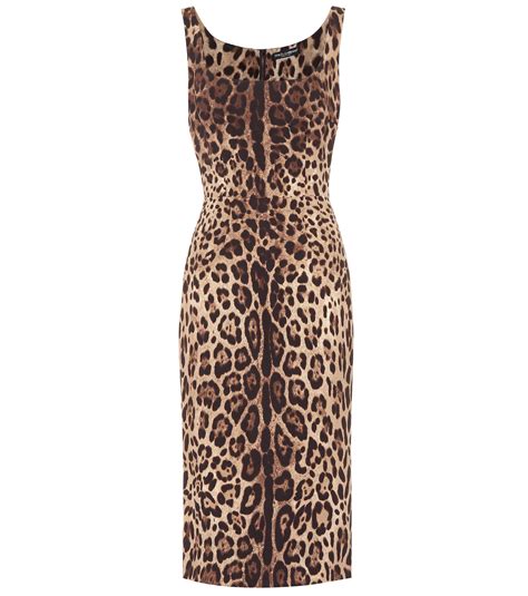 dolce and gabbana leopard print stretch silk dress in brown lyst