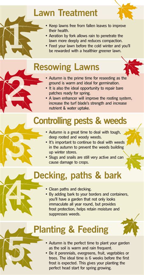 Autumn Gardening Top Tips Haskins Garden Centres