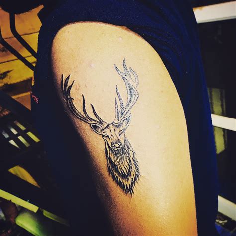 Deer Tattoo Deer Tattoo Tattoos Dreamcatcher Tattoo